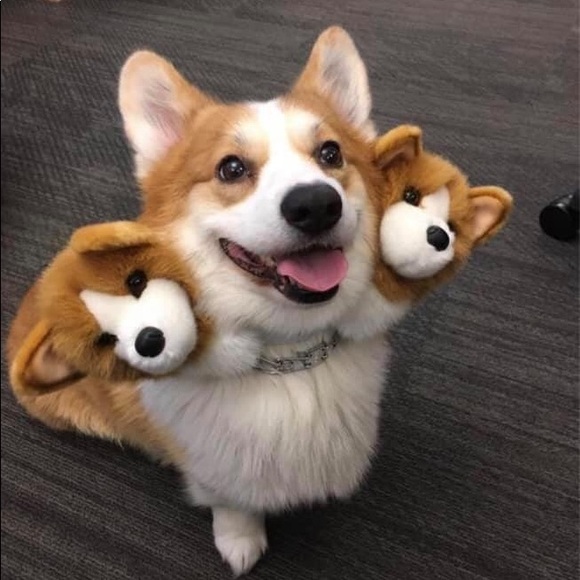 Meet your Posher, Tea - Picture 1 of 1